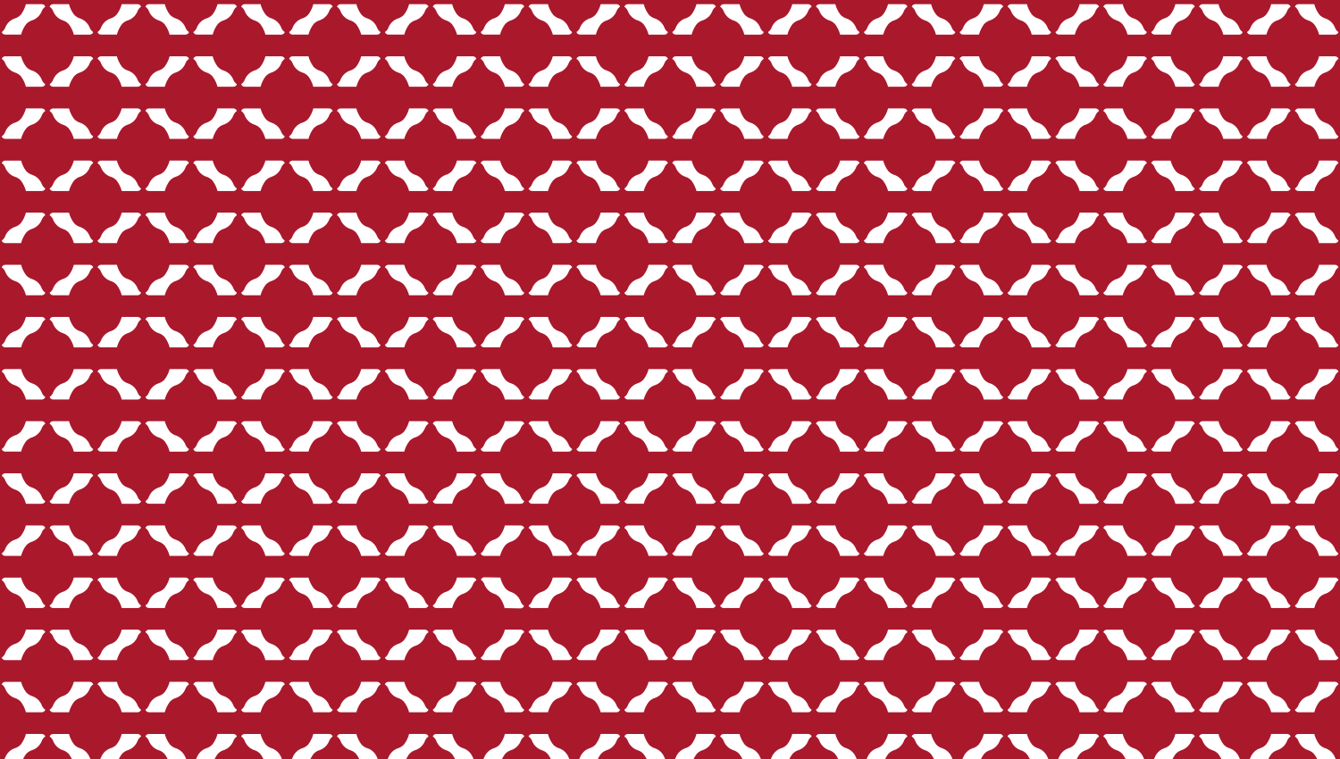 Jaipur | Architectural Metal Screen Pattern pattern detail reference