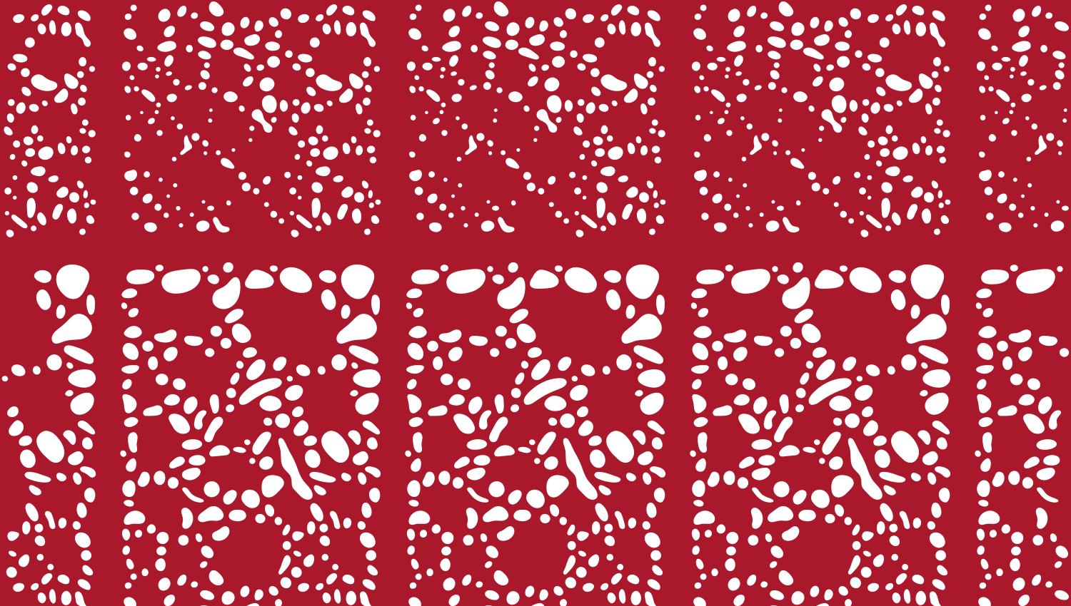 Tafoni | Architectural Metal Screen Pattern pattern detail reference